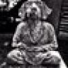 Indyboogiedog's avatar Indyboogiedog's avatar