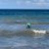 Boricua Breeze β save theπ¬π π¦ unf*ck the world's avatar Boricua Breeze β save theπ¬π π¦ unf*ck the world's avatar