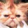 Wendy 🇨🇦's avatar Wendy 🇨🇦's avatar