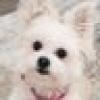 Independent Voter's avatar Independent Voter's avatar