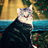Kitten Underground's avatar Kitten Underground's avatar