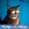 DB's_a_Dem-a-Cat_Ω's avatar DB's_a_Dem-a-Cat_Ω's avatar