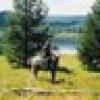 Bronco-Girl ❤️✝️🇺🇸⭐️⭐️⭐️'s avatar Bronco-Girl ❤️✝️🇺🇸⭐️⭐️⭐️'s avatar
