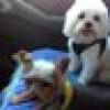 Toby Blessings's avatar Toby Blessings's avatar