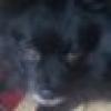 Frankie 🇺🇸's avatar Frankie 🇺🇸's avatar