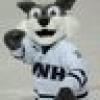 UNHHOCKEY's avatar