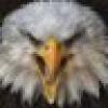 The Liberty Speaks's avatar The Liberty Speaks's avatar