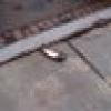 Hillary’s Shoe Goes Bye-Bye❌'s avatar Hillary’s Shoe Goes Bye-Bye❌'s avatar