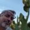 Bruce Newman's avatar Bruce Newman's avatar