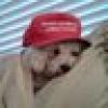 Vicki❤️Taylor@Tuxie❤️Taylor13🌟🌟🌟's avatar Vicki❤️Taylor@Tuxie❤️Taylor13🌟🌟🌟's avatar