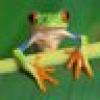 (((William Boulet)))'s avatar (((William Boulet)))'s avatar