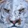 Anonymously All's avatar Anonymously All's avatar