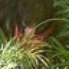 Jen🇺🇸⭐⭐⭐'s avatar Jen🇺🇸⭐⭐⭐'s avatar