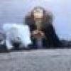 Chimp King of The North's avatar Chimp King of The North's avatar