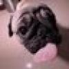 Matthew Stinson's avatar Matthew Stinson's avatar