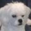 Grace Birdwell's avatar Grace Birdwell's avatar