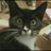 Mark Zander's avatar Mark Zander's avatar