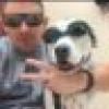 I luv being Teamster's avatar I luv being Teamster's avatar