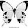 Cindy Stickline-Rose's avatar Cindy Stickline-Rose's avatar