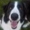Josh Jordan's avatar Josh Jordan's avatar