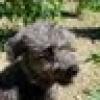 #PoconoSUE❌ #Schnoodles ROCK!'s avatar #PoconoSUE❌ #Schnoodles ROCK!'s avatar
