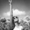 Debbie Bryant's avatar Debbie Bryant's avatar