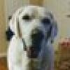 Eddie❤🇺🇸 #MAGA's avatar Eddie❤🇺🇸 #MAGA's avatar