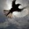 Jahid's avatar Jahid's avatar