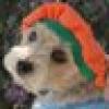patti's avatar patti's avatar