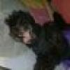 ♡'s avatar ♡'s avatar