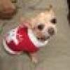 Patriot Girl - TX's avatar Patriot Girl - TX's avatar