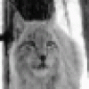 Freddie George's avatar Freddie George's avatar