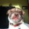 careful I’m prickly today's avatar careful I’m prickly today's avatar