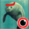 Penny βπ½ππΌπͺπΎ's avatar Penny βπ½ππΌπͺπΎ's avatar