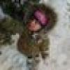rosemary's avatar rosemary's avatar