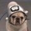 ⭐️⭐️⭐️ Neurocity⭐️⭐️⭐️'s avatar ⭐️⭐️⭐️ Neurocity⭐️⭐️⭐️'s avatar