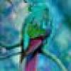 LittleFlock ⭐️⭐️⭐️'s avatar LittleFlock ⭐️⭐️⭐️'s avatar
