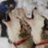 markvrb ๐บ๐ธ's avatar markvrb ๐บ๐ธ's avatar