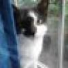 Maryππβπ¦βππ's avatar Maryππβπ¦βππ's avatar