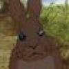 Pesky Rabbit🏴's avatar Pesky Rabbit🏴's avatar
