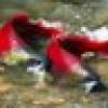 IdahoJasonB's avatar IdahoJasonB's avatar