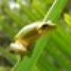 jere🐢my's avatar jere🐢my's avatar