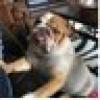 charleneosbor17's avatar