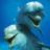 ☧☧☧ RLT ☧☧☧'s avatar ☧☧☧ RLT ☧☧☧'s avatar