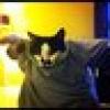 Mucci Cat's avatar Mucci Cat's avatar