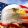 Eagle 365's avatar
