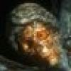 Peace & tranquillity's avatar Peace & tranquillity's avatar