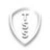 The Scratching Shed ππ's avatar The Scratching Shed ππ's avatar