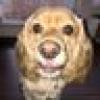 Clara10๐ต๐ท's avatar Clara10๐ต๐ท's avatar