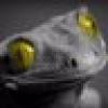 covfefe miester's avatar covfefe miester's avatar